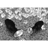 Kép 5/6 - You2Toys - Diamond - szilikon anál plug (kicsi)