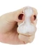 Kép 2/5 - Pecker Chocolate/Ice Tray AS PIC