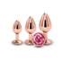 Kép 3/4 - Rear Assets - Trainer Kit - Rose Gold - Pink